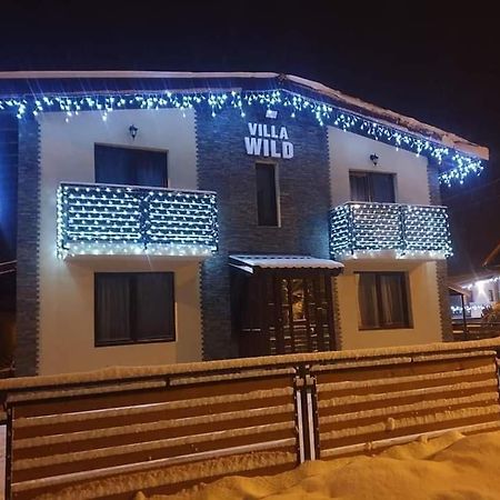 Villa Wild Petroşani Eksteriør billede